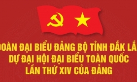 (Infographic) Đoàn đại biểu Đảng bộ tỉnh Đắk Lắk dự Đại hội đại biểu toàn quốc lần thứ XIV của Đảng