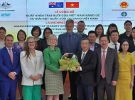 Trái bưởi của Việt Nam chính thức có "visa" vào Úc