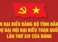 (Infographic) Đoàn đại biểu Đảng bộ tỉnh Đắk Lắk dự Đại hội đại biểu toàn quốc lần thứ XIV của Đảng