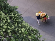 Hà Nội trong top 7 điểm đến ngắm mùa thu đẹp nhất châu Á