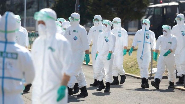 Nhật sắp hết chỗ chôn gà chết vì cúm gia cầm
