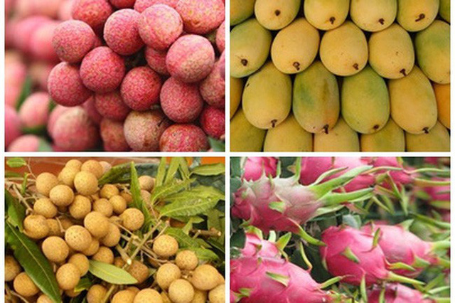 Làm gì để tăng hiệu quả xuất khẩu trái cây Việt?
